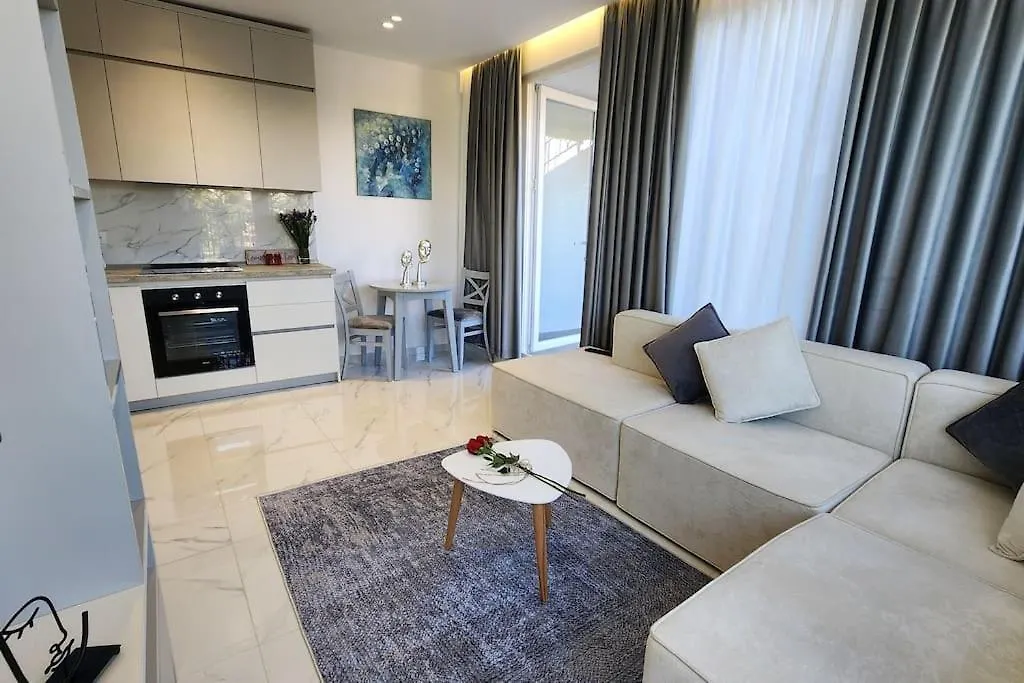 Penthouse With A City View Tirana