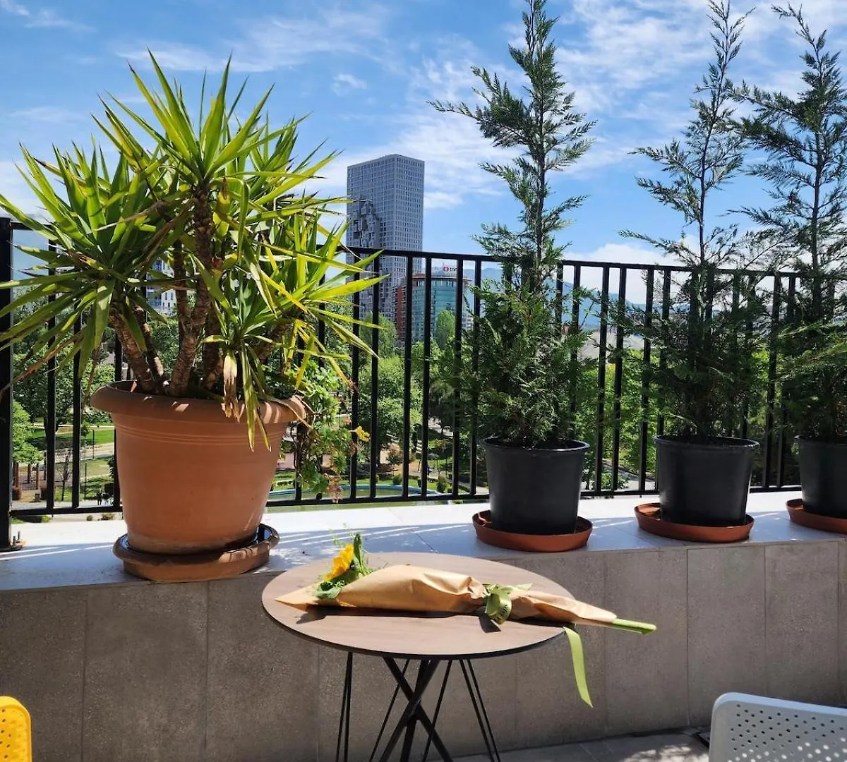 Penthouse With A City View Tirana Apartamento